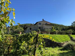 een huis op een heuvel in een veld bij Casa Batano in San Casciano dei Bagni