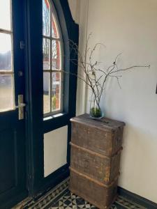 a vase on top of an old trunk next to a door at Winsen 1 Genieße kreative FeWo zw Hamburg u. Lüneburg in Winsen