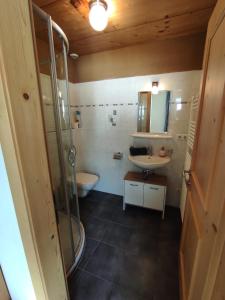 a bathroom with a shower and a sink and a toilet at Fluenerhof in Fleres