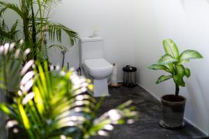 A bathroom at Casa Jaali