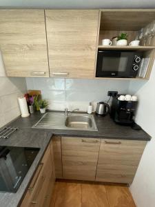a kitchen with a sink and a microwave at Chata na Cihelně in Nové Město na Moravě