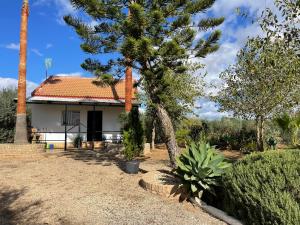 una casa con una palmera delante de ella en El Paraíso del Olivar, en Bollullos de la Mitación