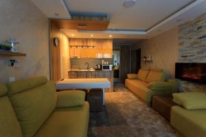 sala de estar con 2 sofás y cocina en Apartments Andrejic en Kopaonik
