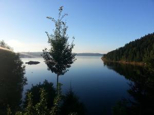 a tree in the middle of a large lake at Herøya Porsgrunn Apartment in Porsgrunn