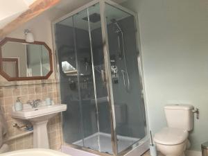 ein Bad mit einer Dusche, einem WC und einem Waschbecken in der Unterkunft Chambres & Table d'hôtes de La Vieille Ferme in Salon-la-Tour