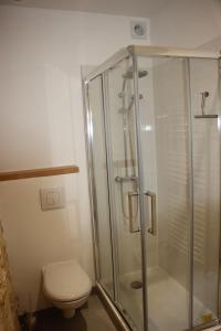 een badkamer met een douche en een toilet bij Le Cosy-vergerentre2mers in Langoiran