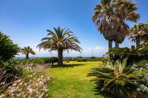 un parque con palmeras, césped y el océano en Casa Piranhas, en Carvoeiro