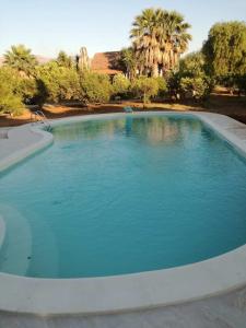 une grande piscine d'eau bleue dans l'établissement Chianurrè Arancio, à Partinico