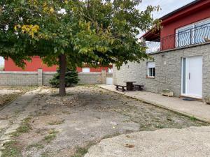 Un árbol delante de un edificio con un banco. en Les Oliveres - casa- apartament, en Vilafant