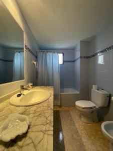 ペニスコラにあるAlpen1 Residencial Finca del Moroのバスルーム(洗面台、トイレ付)