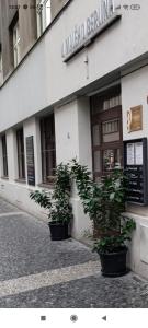 two potted plants sitting outside of a building at Apartmen -Studio in Prague +6 photos