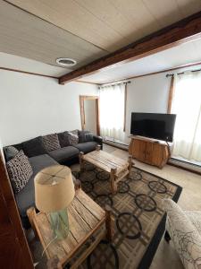 sala de estar con sofá y TV en Adventures Vacation Rentals, en Lava Hot Springs