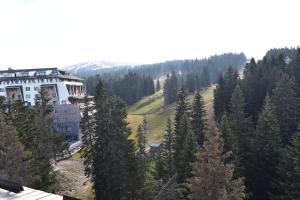 arial view of a building in the midst of trees at Woodside Kopaonik Residences in Kopaonik