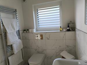 a bathroom with a toilet and a sink and a window at Petite Anchorage in Christchurch