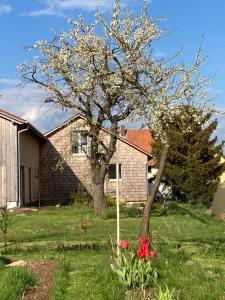 een boom in een tuin met rode bloemen voor een huis bij Zur Streuobstwiese 