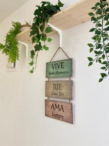 Certifikát, hodnocení, plakát nebo jiný dokument vystavený v ubytování Hostal Orange Vibes