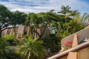 威雷亞的住宿－Tropical Maui Kamaole B-Bldg，棕榈树房屋的阳台享有风景。