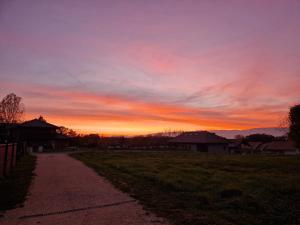 a sunset over a field with a dirt road at Villa Laba in Yvoire