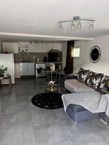 ein Wohnzimmer mit einem Sofa und einer Küche in der Unterkunft Belle île in Villers-le-Lac