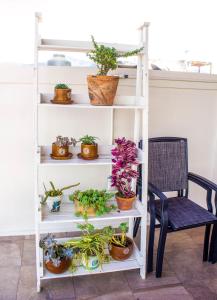 a white shelf with potted plants and a chair at Casa Gubidxa in Oaxaca City