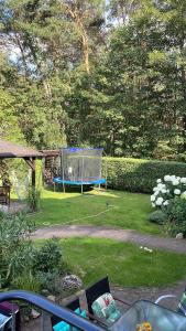 a garden with a gazebo in the grass at Ferienhaus Weniger in Bad Saarow