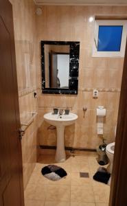 a bathroom with a sink and a mirror and a toilet at Ciprians' Home in Săcele