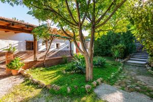 un árbol en el patio de una casa en Casa La Encina, en El Chorro