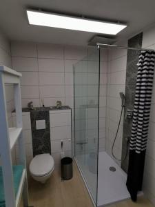 uma casa de banho com um WC e uma cabina de duche em vidro. em Altes Gut Berka em Sondershausen