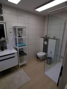 a bathroom with a toilet and a glass shower at Altes Gut Berka in Sondershausen