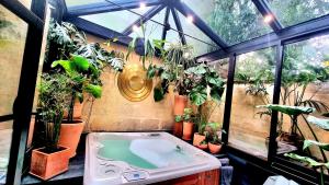 ボルドーにあるLa Belle Endormie B&B French Guest houseのホットタブとたくさんの植物がある温室を提供しています。