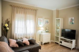 un soggiorno con divano e TV di Gallimó Apartaments a L'Ampolla