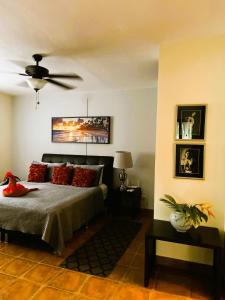 a bedroom with a bed and a ceiling fan at Sueños de Amor! Hermoso y Acogedor lugar in Quepos
