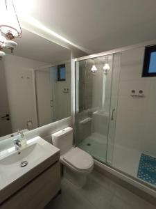a bathroom with a toilet and a shower and a sink at Hermosa vista al mar ,piscina, comodidad (1606B) in Concón