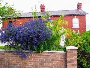 un mur en briques avec des fleurs violettes devant une maison dans l'établissement Victoria Villas, à Sandycroft