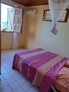 een slaapkamer met een bed met een paarse deken bij MAISON de VACANCES ANSES D'ARLET in Les Anses-dʼArlets