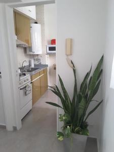 a kitchen with a plant in the middle of it at M&A Apartament Centro in Bahía Blanca