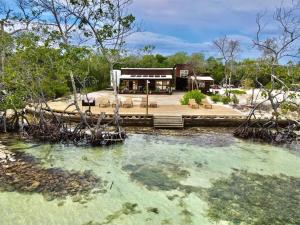 Medusa Hostel Isla Tintipan في Tintipan Island: منزل فيه تجمع مياه امامه