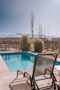une chaise assise en face d'une piscine dans l'établissement Posada Finca Garciarena, à Agrelo