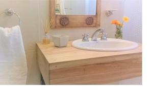 a bathroom with a white sink and a mirror at Boutique Vineyard and Wine Lodge in Maipú +18 photos