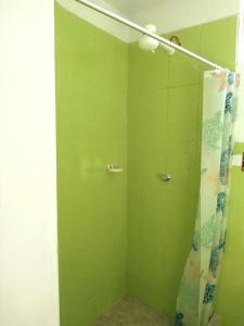 a green bathroom with a shower with a shower curtain at Departamento-Natural M4 in Chiclayo