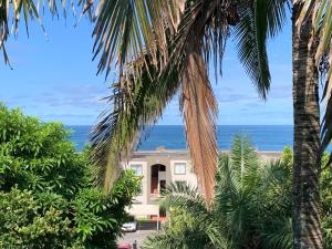 a house on the beach with palm trees at 125 Laguna La Crete, Uvongo in Margate