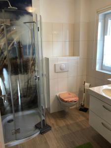 a bathroom with a shower and a toilet and a sink at Leuchtfeuer in Born