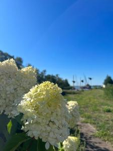 Φυσικό τοπίο κοντά σε αυτό το διαμέρισμα