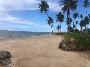 uma praia arenosa com palmeiras e o oceano em Casa de Praia Aconchego São José da Coroa Grande em São José da Coroa Grande
