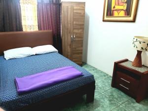 ein Schlafzimmer mit einem Bett mit einem lila Kissen darauf in der Unterkunft EMMA HOUSE in Puerto Baquerizo Moreno