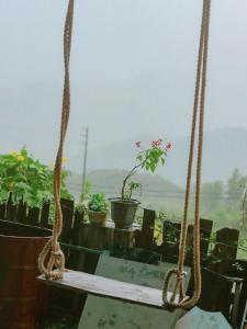 Fotografie z fotogalerie ubytování D Home Sapa 2 v destinaci Sa Pa
