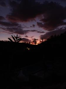 um pôr-do-sol com uma palmeira ao fundo em LoMar Sol&Luna em Sasaima