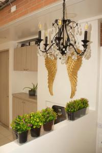 a chandelier in a kitchen with three potted plants at Chapinero, Apart Estudios Charles52 in Bogotá