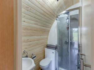 a bathroom with a toilet and a shower at Chestnut-uk36261 in Llanfair Caereinion