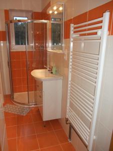 a bathroom with a shower and a sink at Apartment U Pošty in Lipova Lazne